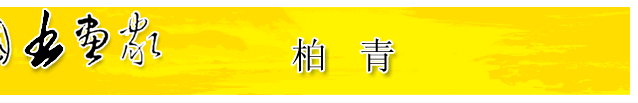 Ї(gu)(gu)ҾW(wng) - Chinese Country Painter Online